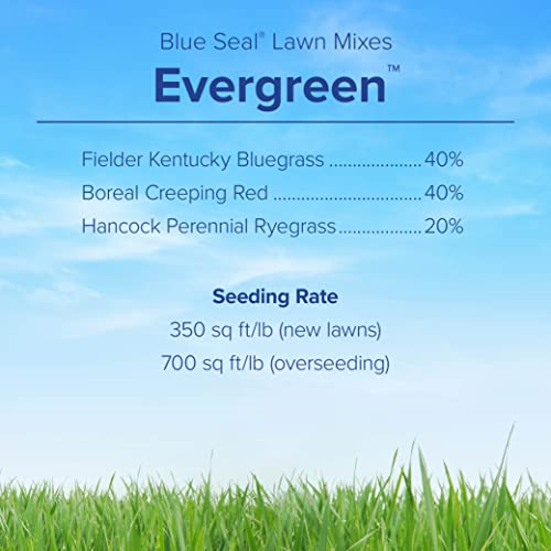 Fine-Textured Sun and Shade Grass Seed Mix, 25 lb Bag R85114