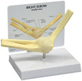 Basic Elbow Model O726301