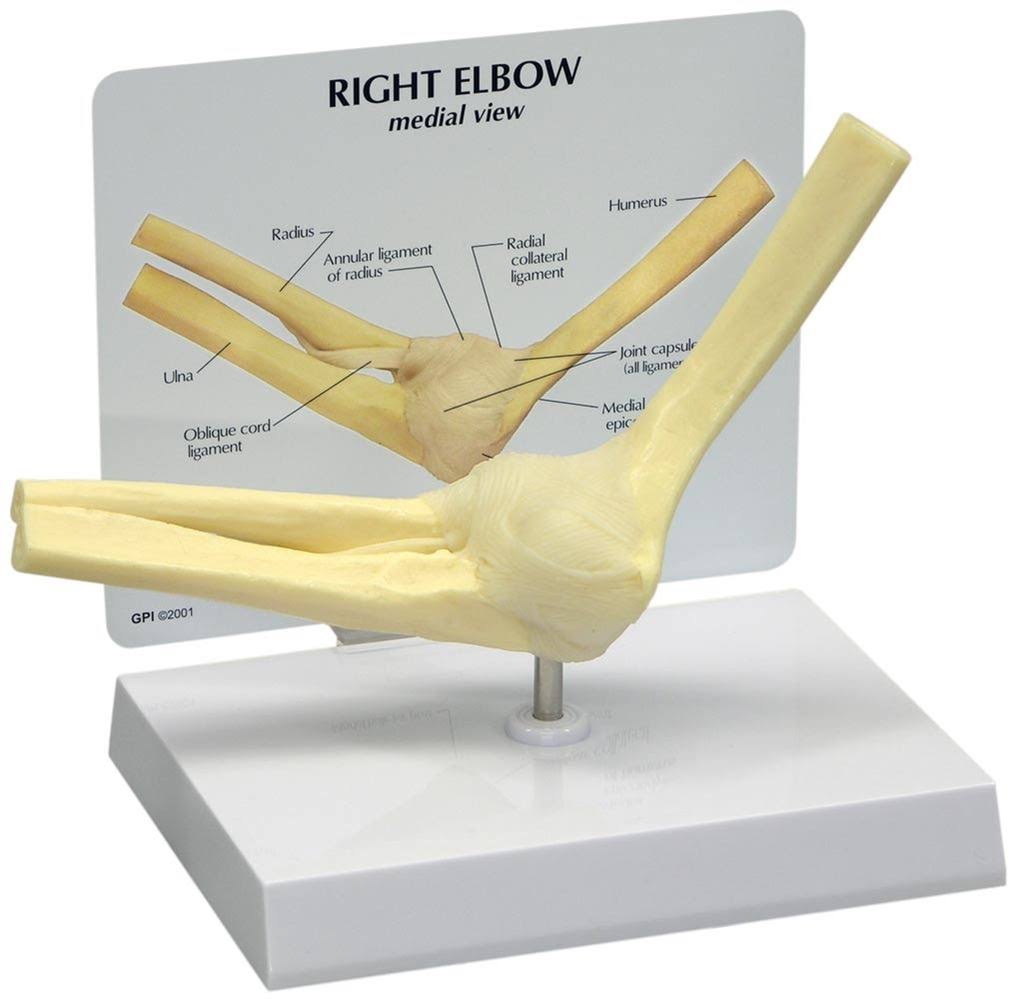 Basic Elbow Model O726301