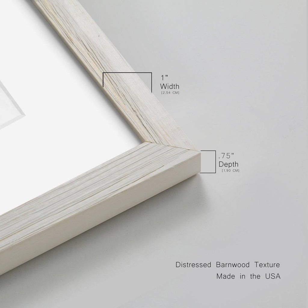 Framed Print O386