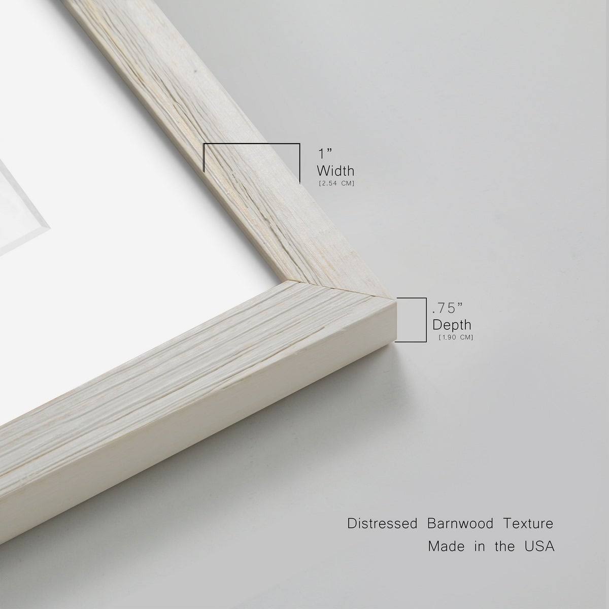 Framed Print O386