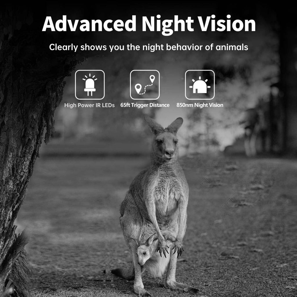 2.4" LCD 32MP 4K IP66 Waterproof Deer Camera, Pack of 2 Z10029