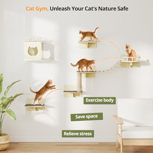 Wooden Wall-Mounted Cat Shelves with Scratching Post E741874