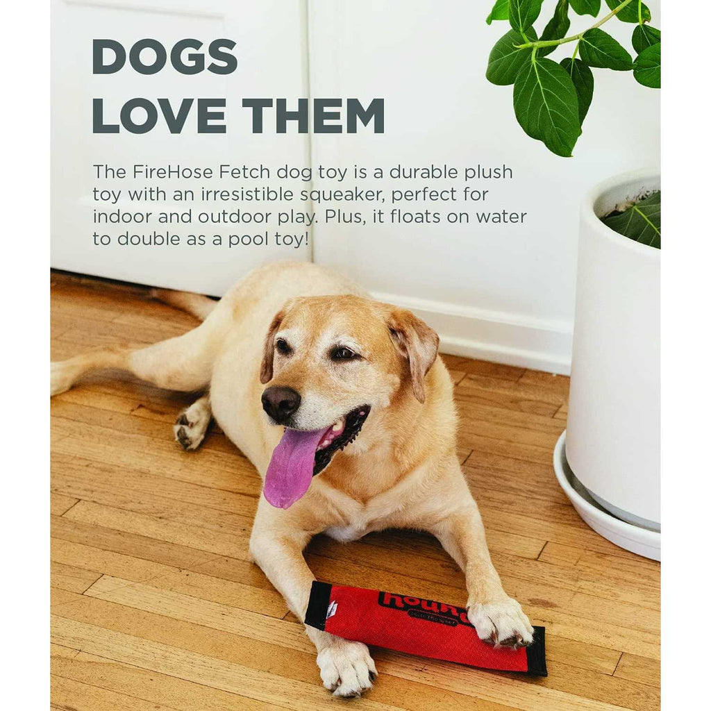 Fetch Dog Toy Z97519