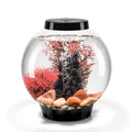 15 Aquarium Set with LED Light P938186