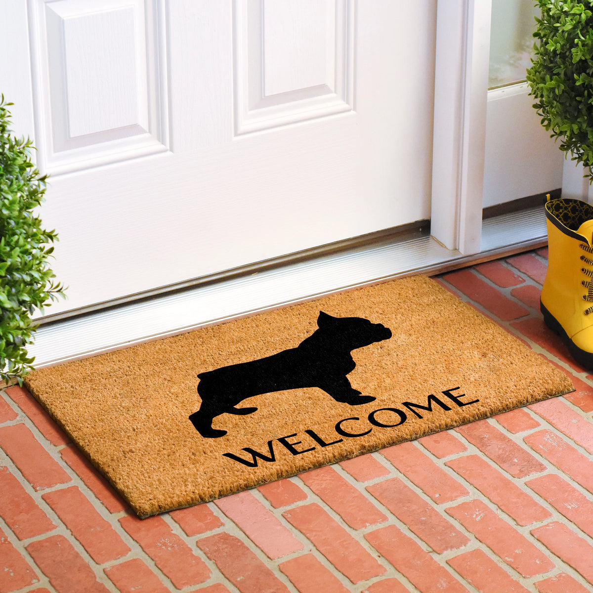 French Bulldog Doormat 24" x 36" G945310