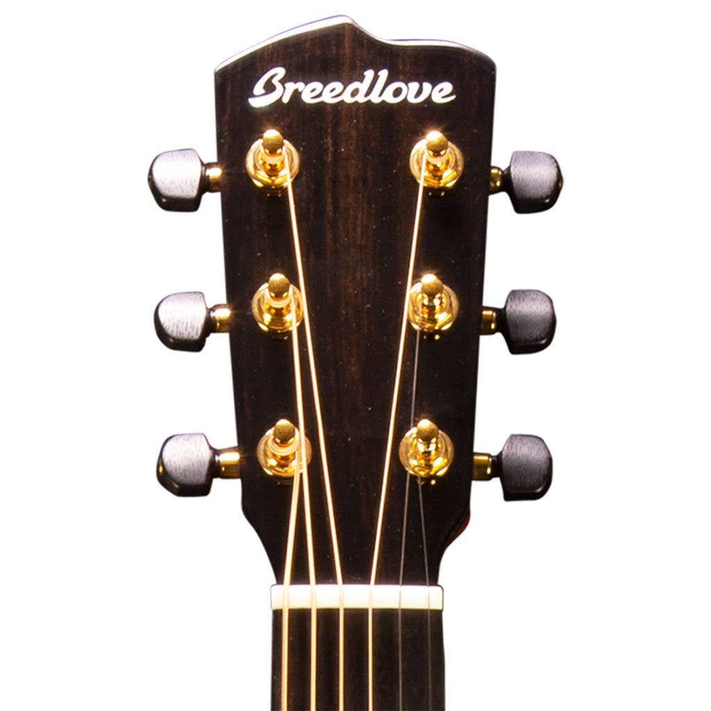 Bourbon Burst Acoustic Electric Guitar A751