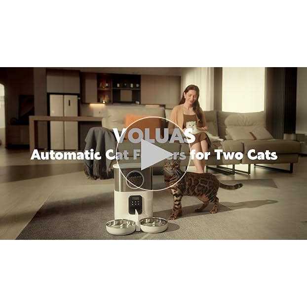 Automatic Cat Feeder with 2 Stainless Steel Bowls E96487