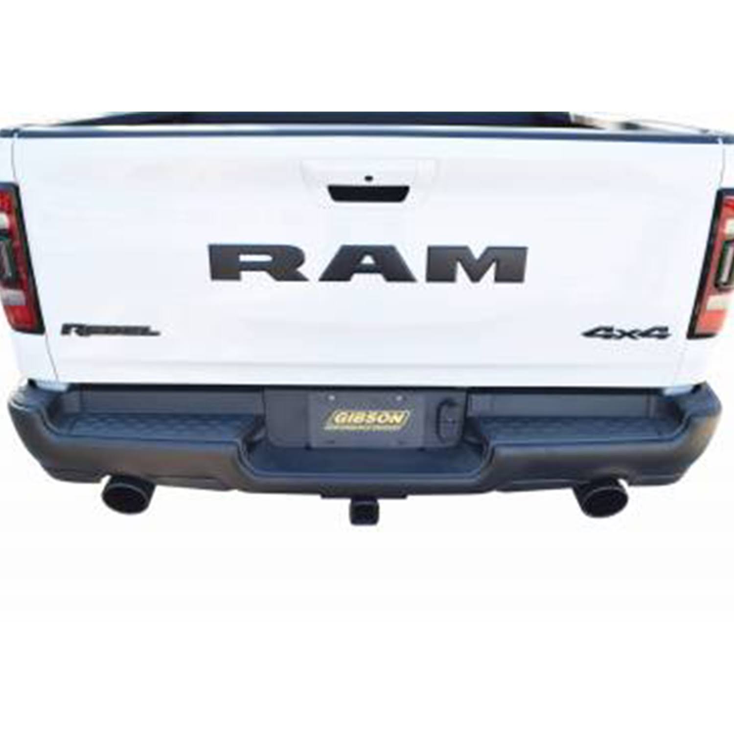 Split Rear Dual Cat-Back Exhaust System Z45960