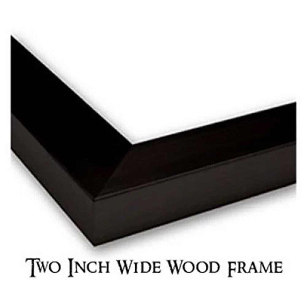 Black Modern Framed Museum Art Print R2422