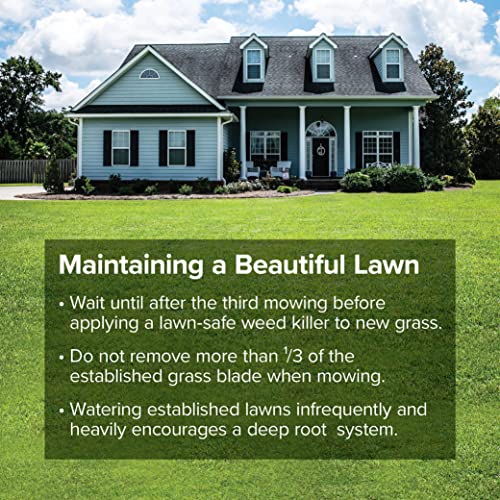 Fine-Textured Sun and Shade Grass Seed Mix, 25 lb Bag R85114