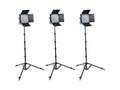LED500 Bi-Color 3-Light Kit with Hard Case L901844