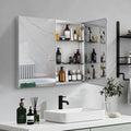 Double Door Mirror Medicine Cabinet D172