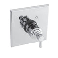 Thermostatic Trim Plate with Handle Polished Brass L159456