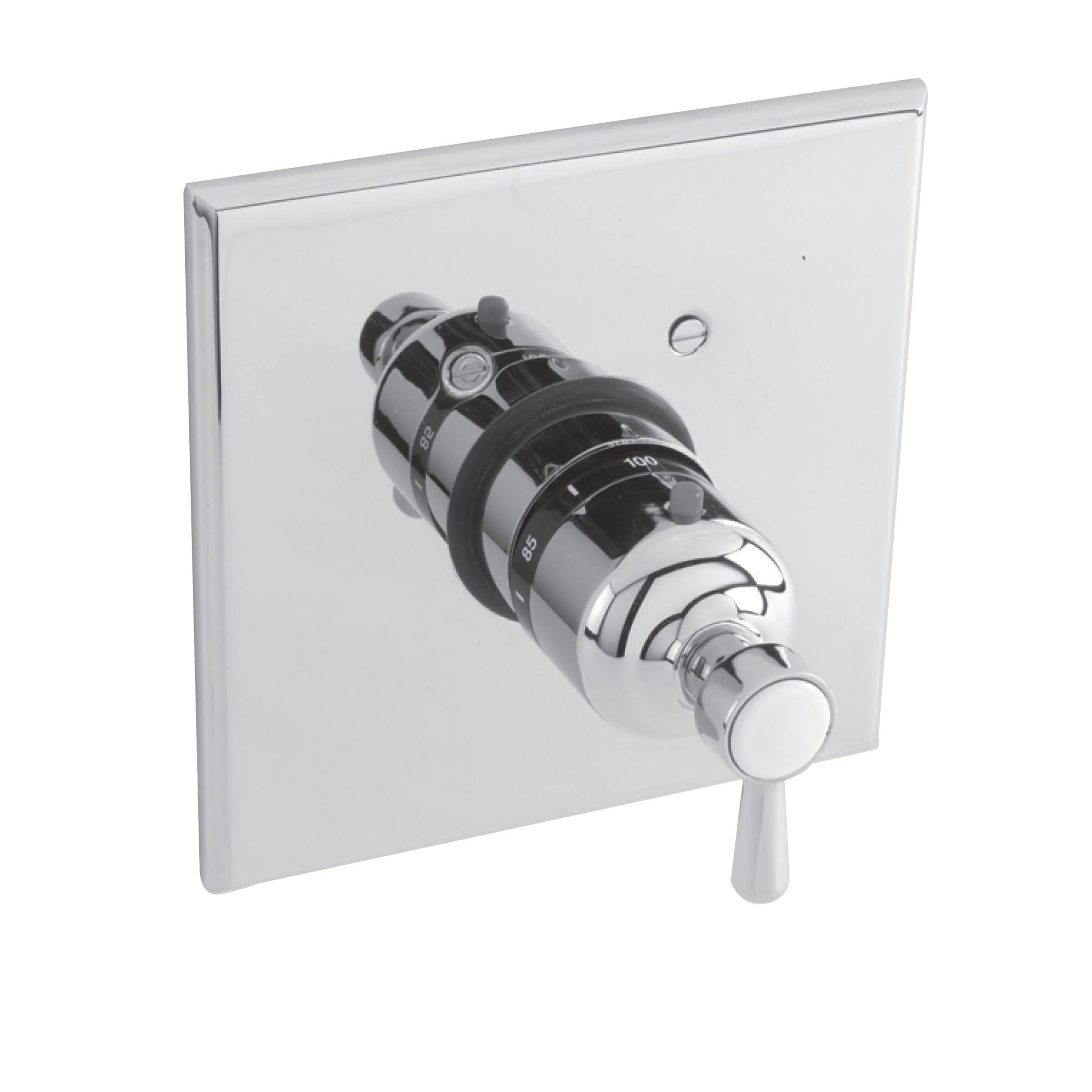 Thermostatic Trim Plate with Handle Polished Brass L159456