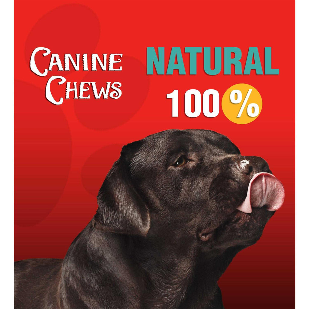 10-11 Dog Rawhide Retriever Rolls T374