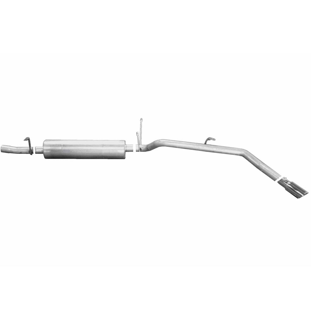 Split Rear Dual Cat-Back Exhaust System Z45960