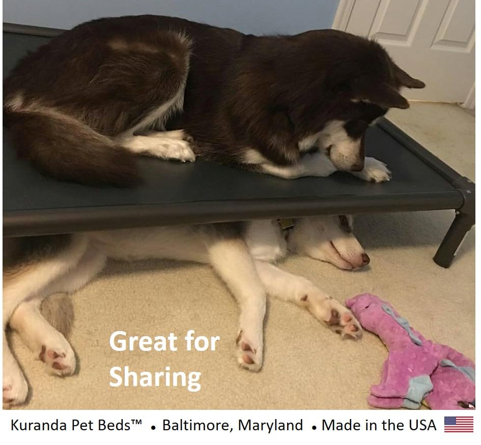 Walnut PVC Heavy Duty Vinyl Dog Bed 50" x 36" Q342