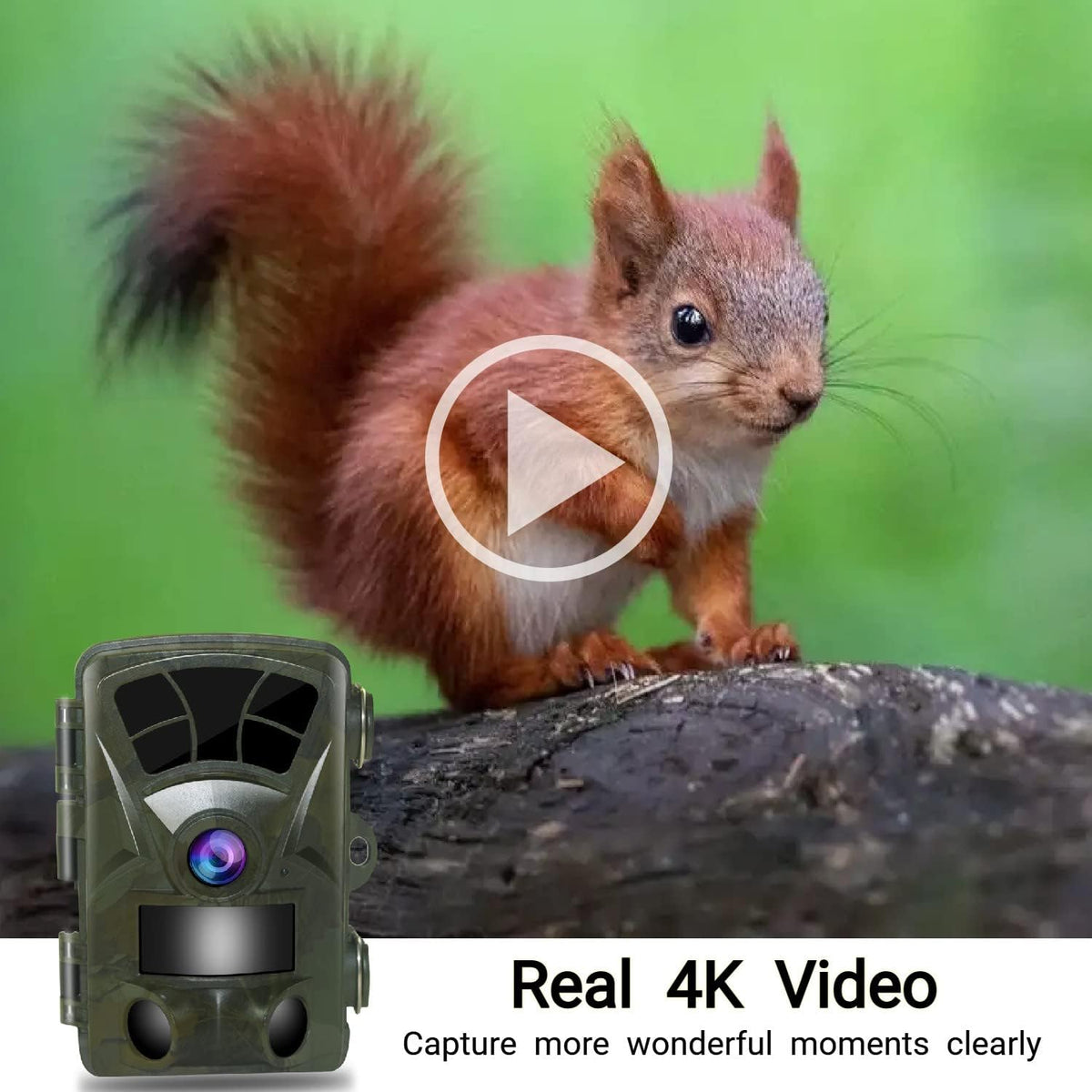 2.4" LCD 32MP 4K IP66 Waterproof Deer Camera, Pack of 2 Z10029