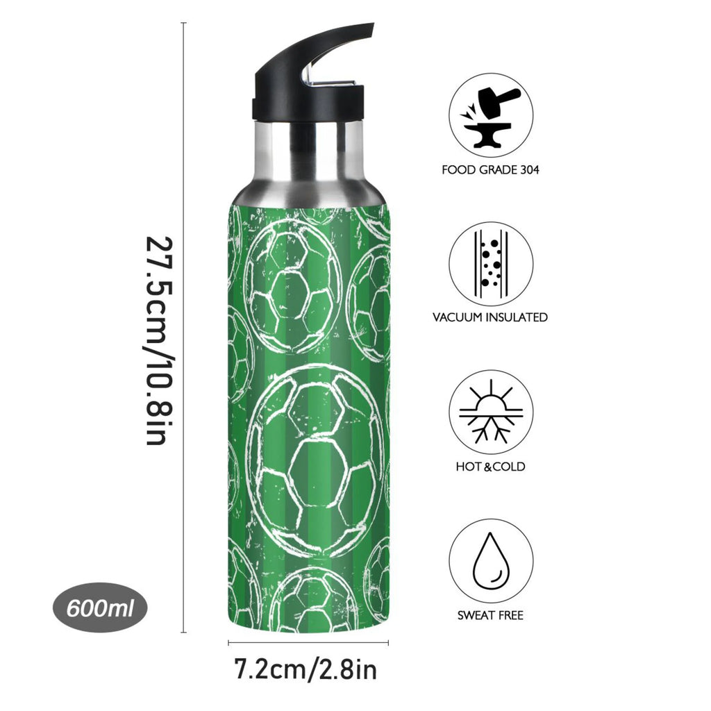 Stainless Steel Insulated Water Bottle with Straw Lid U80601
