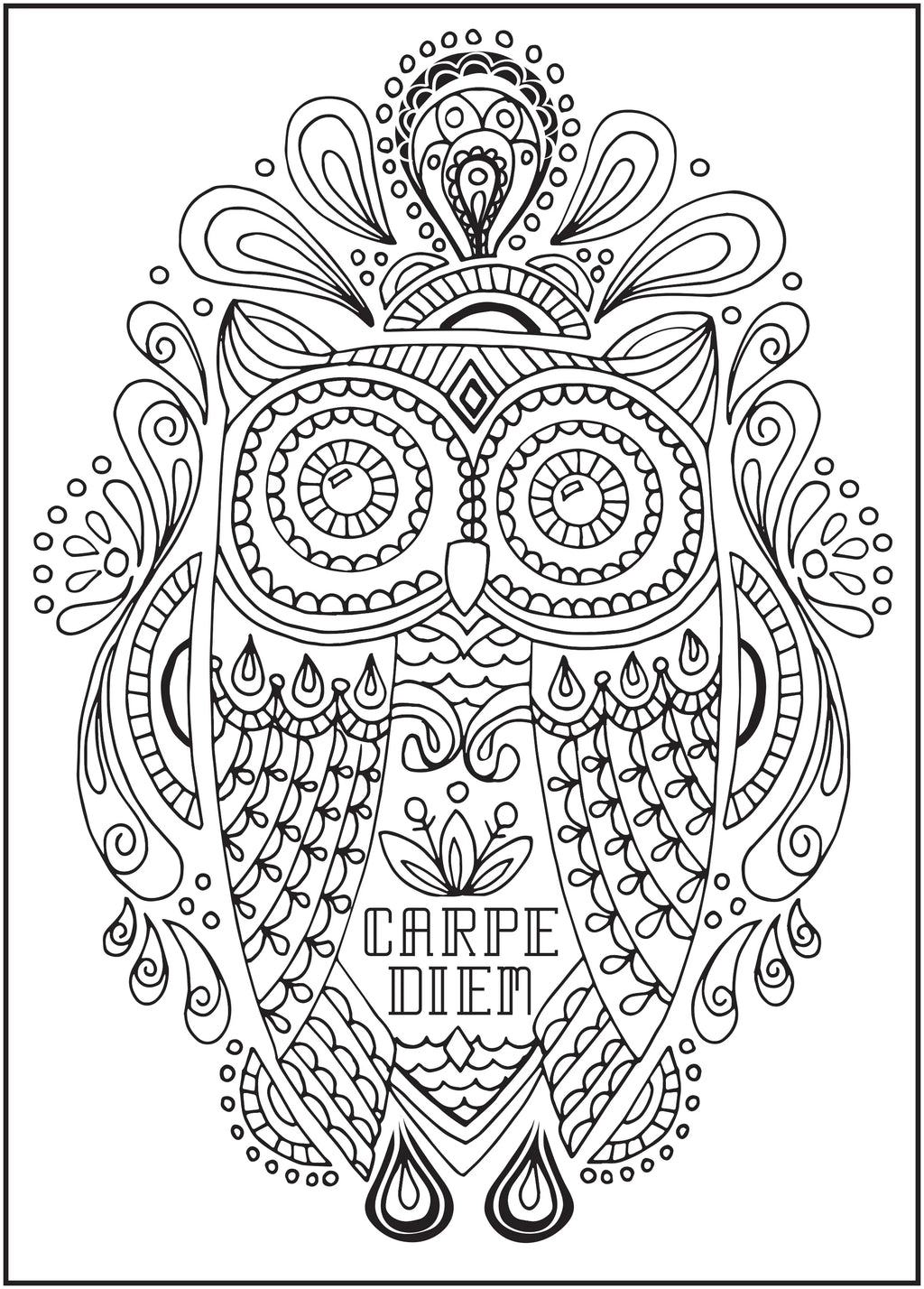 64 Pages Adult Coloring Book K923