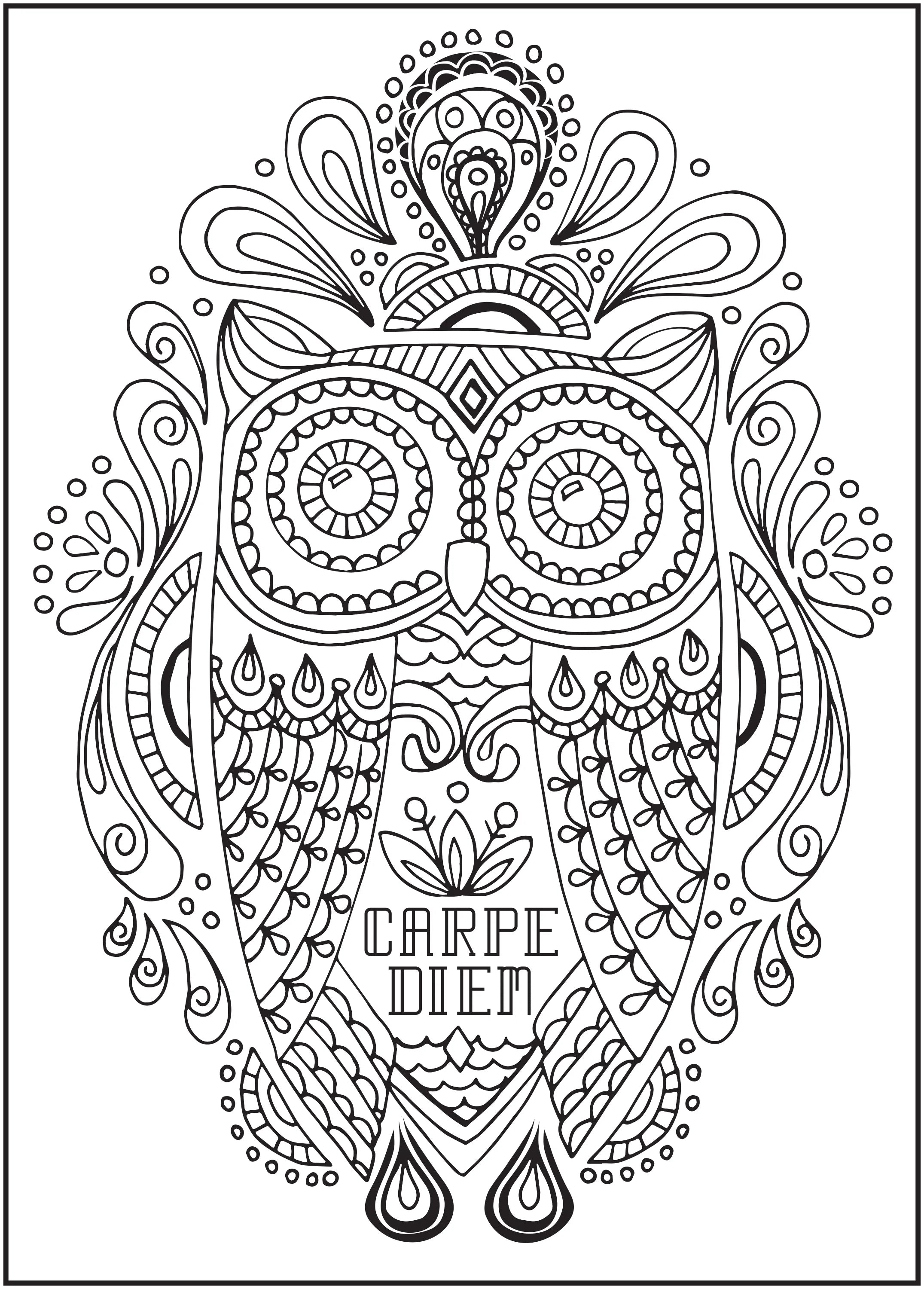 64 Pages Adult Coloring Book K923
