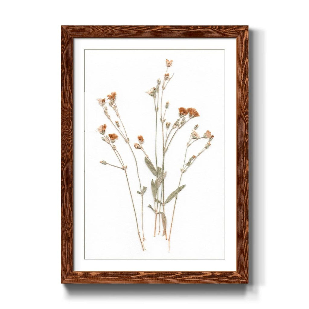 Framed Print O386