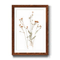 Framed Print O386