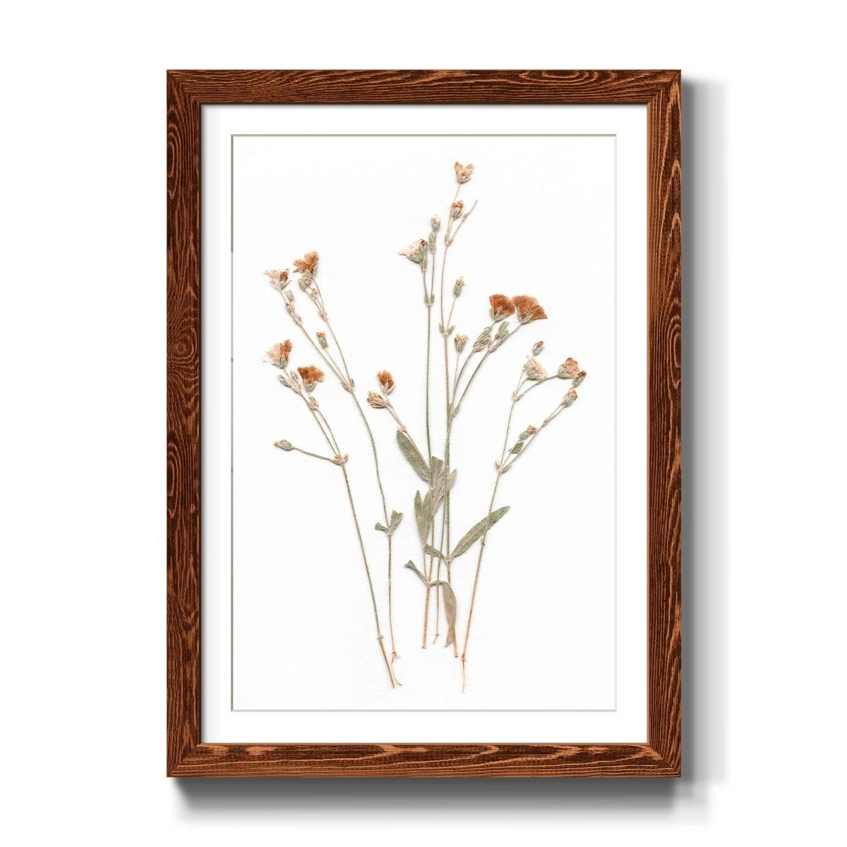 Framed Print O386