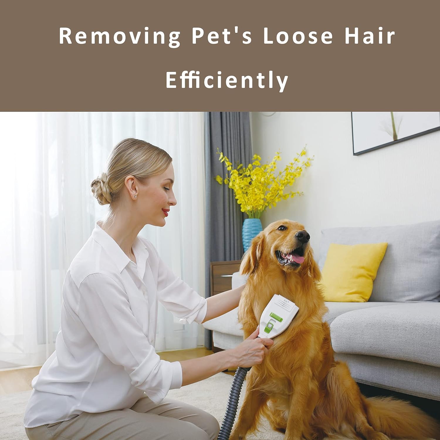 Cordless Pet Vacuum Cleaner with Grooming Brush Z5689