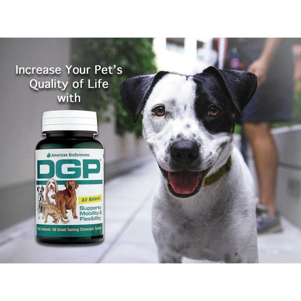 Pet Supplies E781402