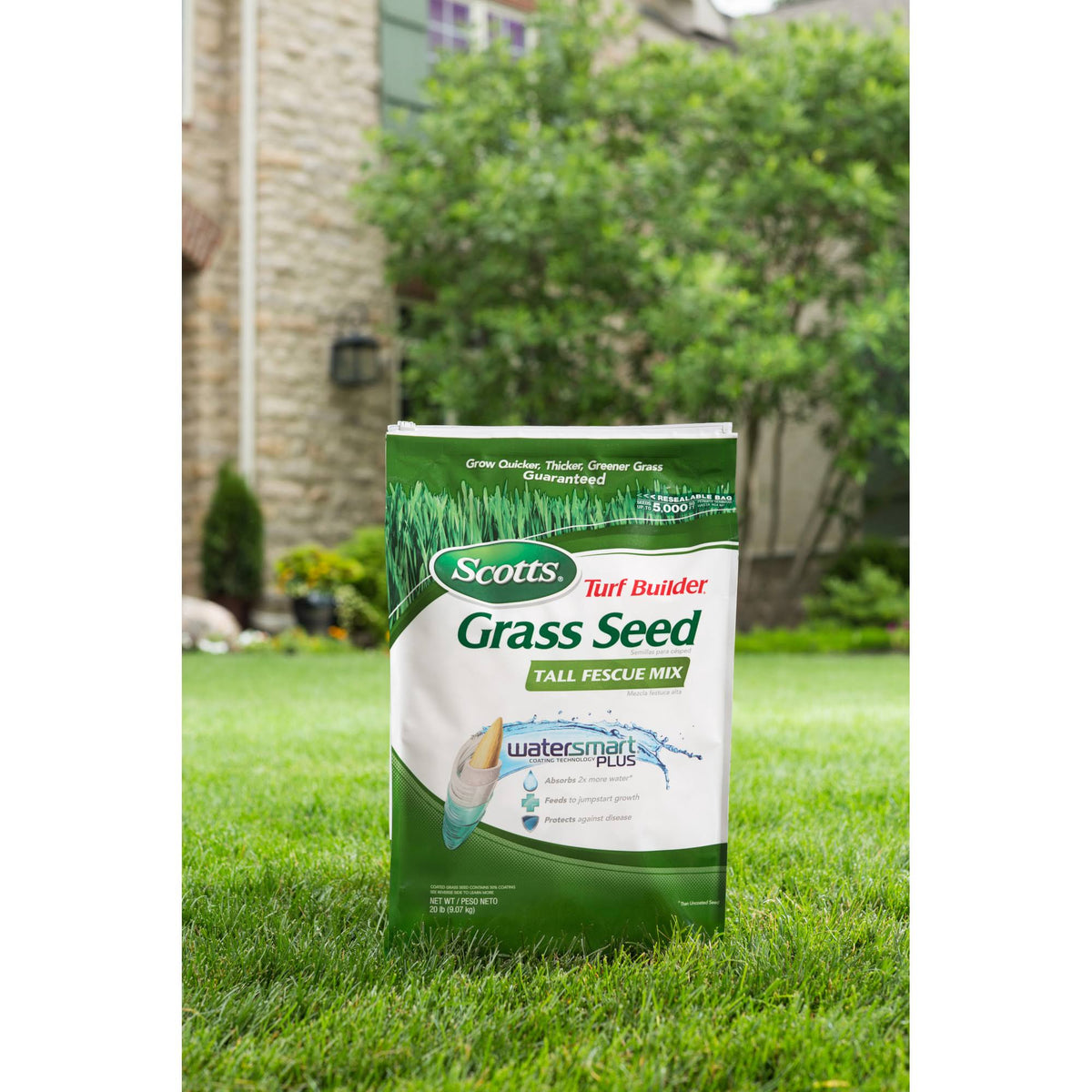 20 lbs. Tall Fescue Mix Grass Seed F9222