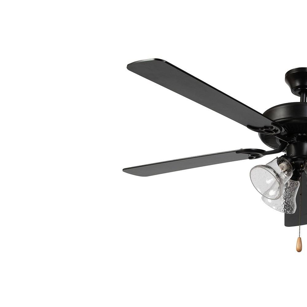 5 Blade Ceiling Fan in Black Finish with Clear Seedy Glass Y450390