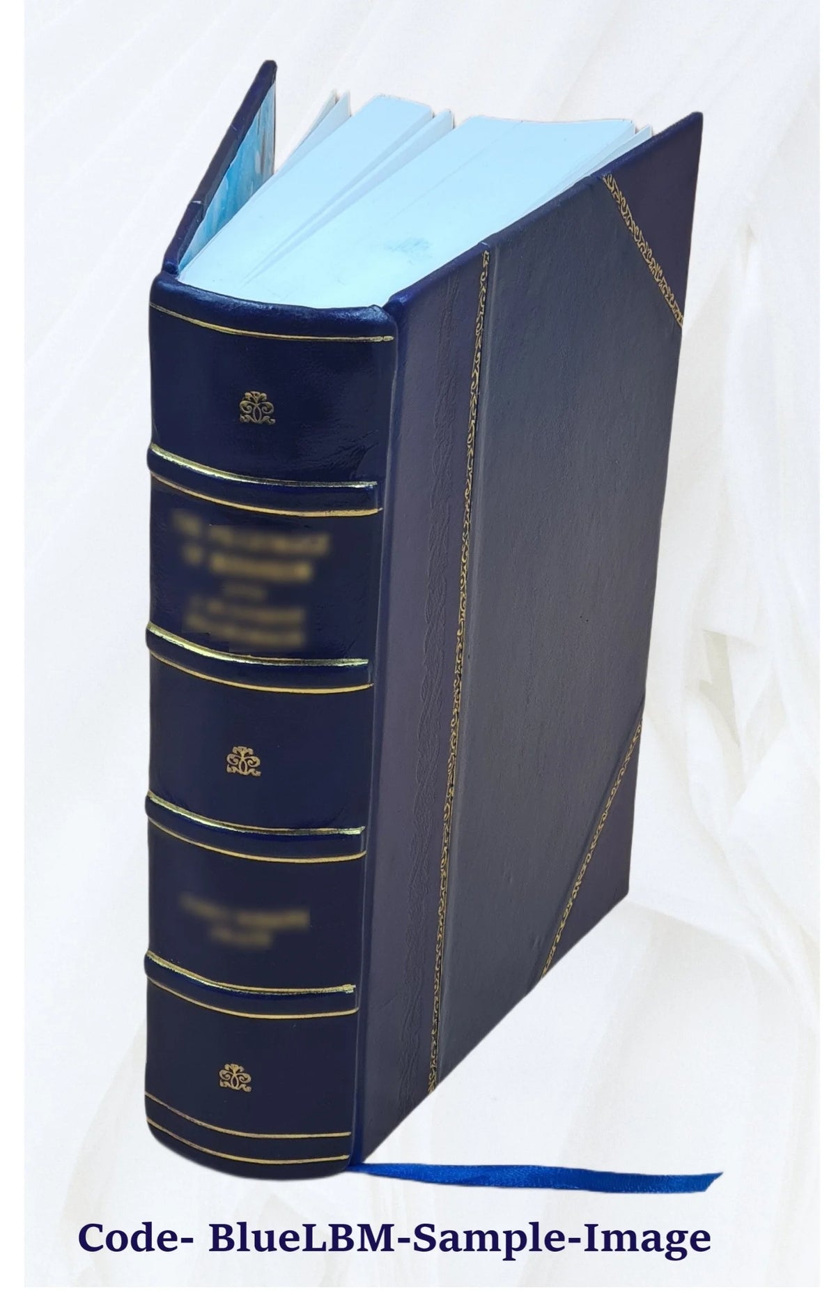 v.2 Leather Bound C9520