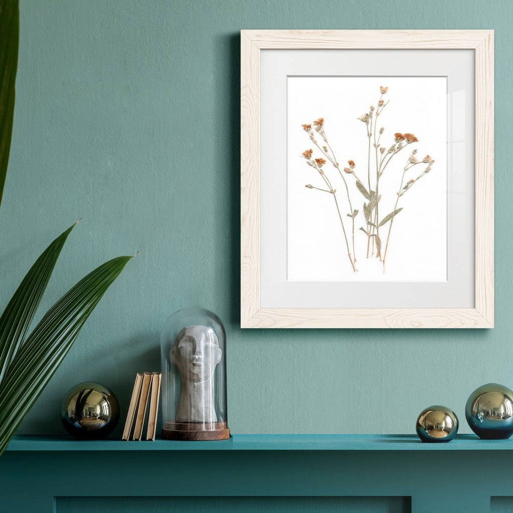 Framed Print O386