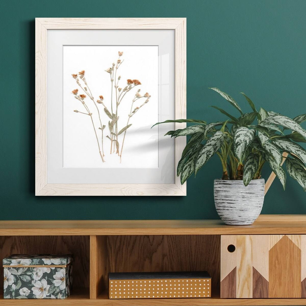 Framed Print O386