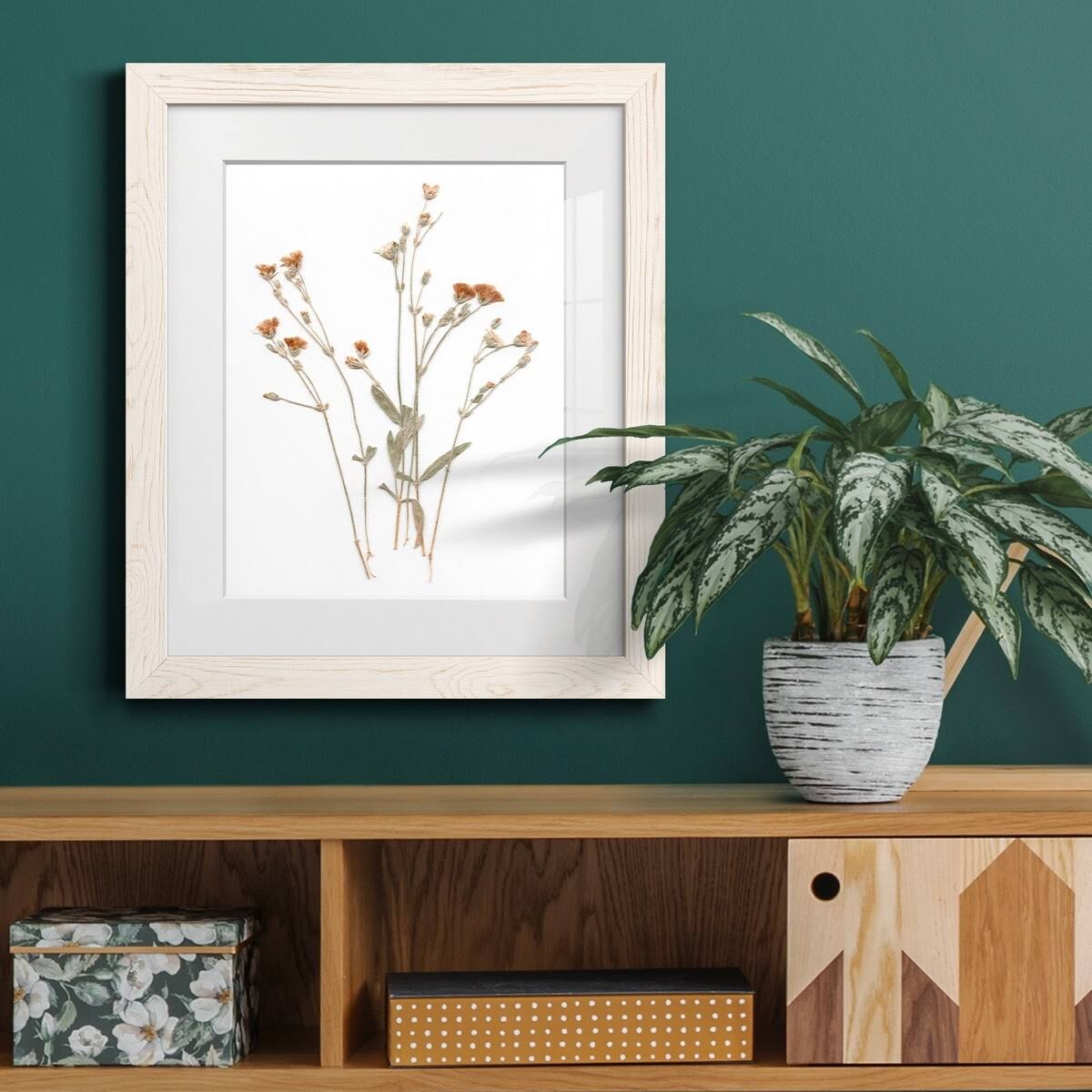 Framed Print O386