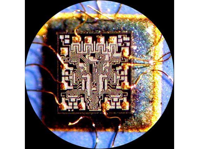7X-45X Trinocular Zoom Stereo Microscope T704198