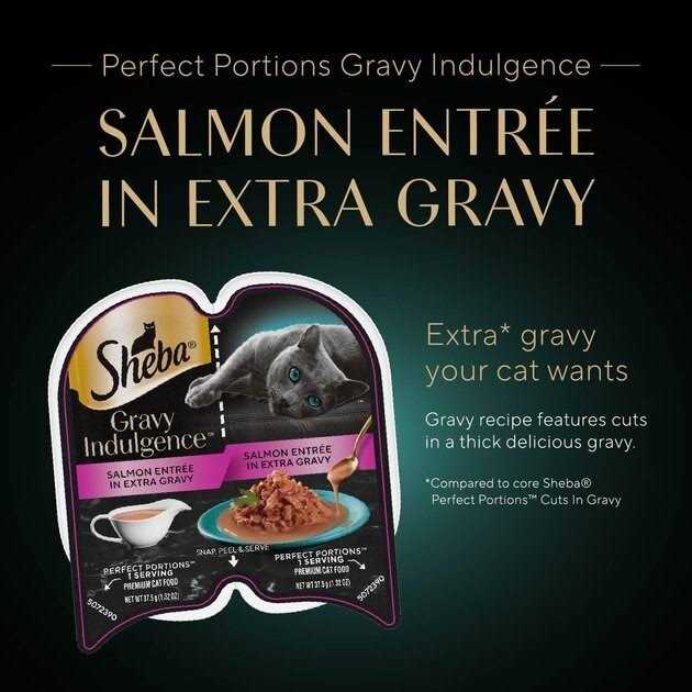 Gravy INDULGENCE Adult Wet Cat Food R657