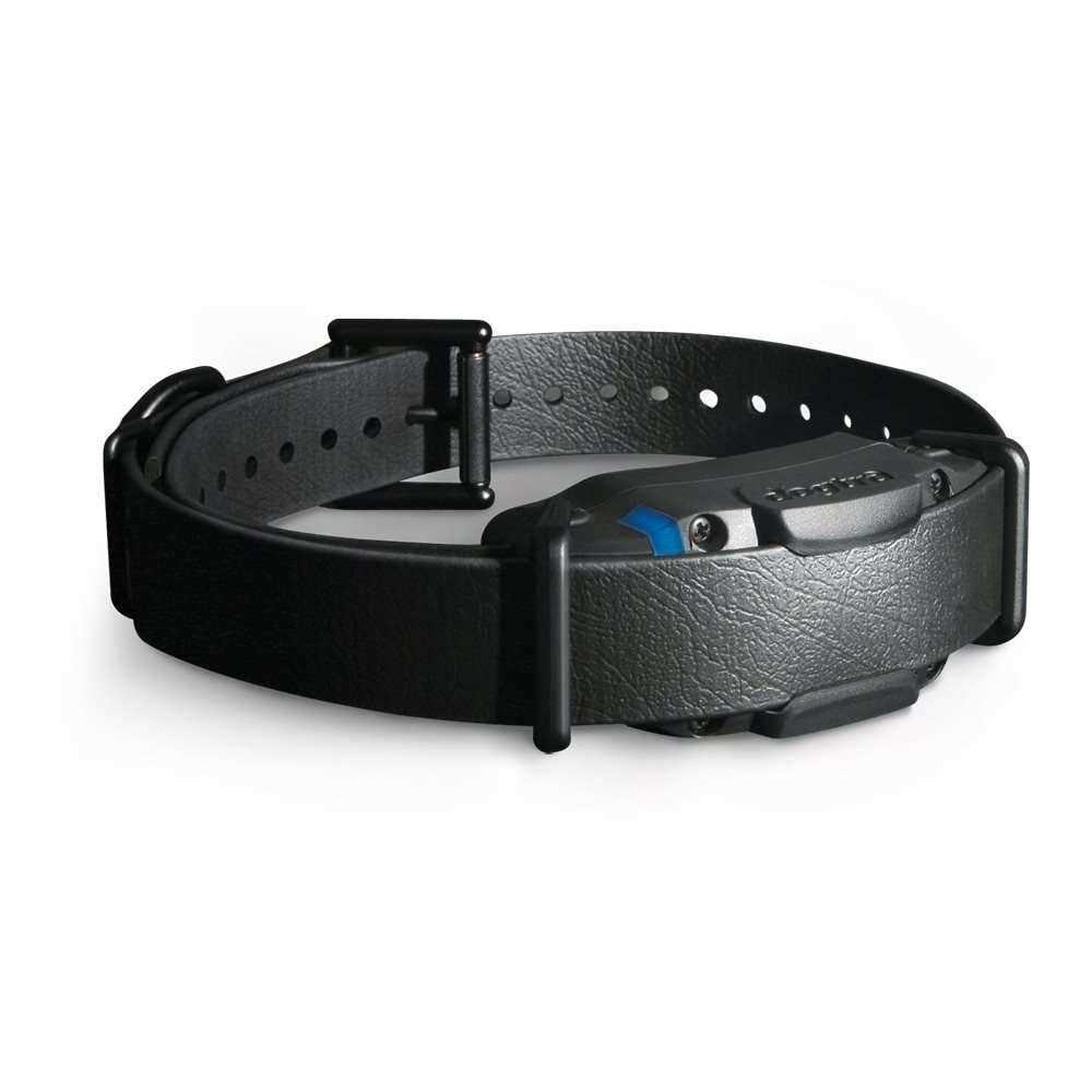 Black Edition 1 Mile Remote Trainer G9394