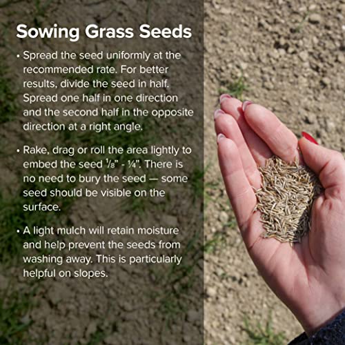 Fine-Textured Sun and Shade Grass Seed Mix, 25 lb Bag R85114