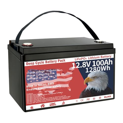 12V 100Ah LiFePO4 Lithium Battery Group 31 1280Wh Low-Temp Protection I260