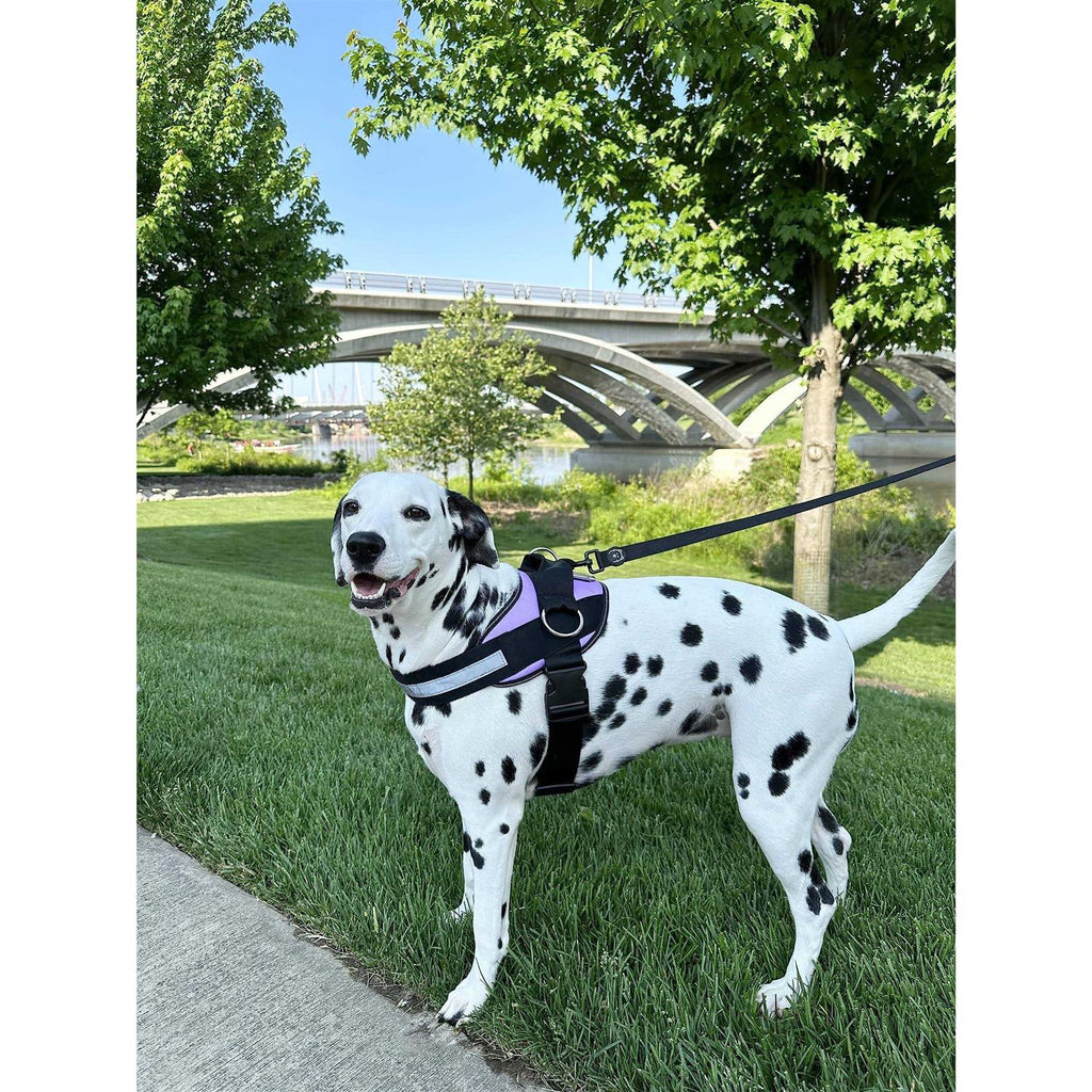 Reflective Adjustable No-Pull Dog Harness Y5964