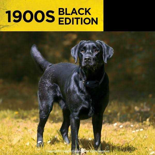 Black Edition 1 Mile Remote Trainer G9394