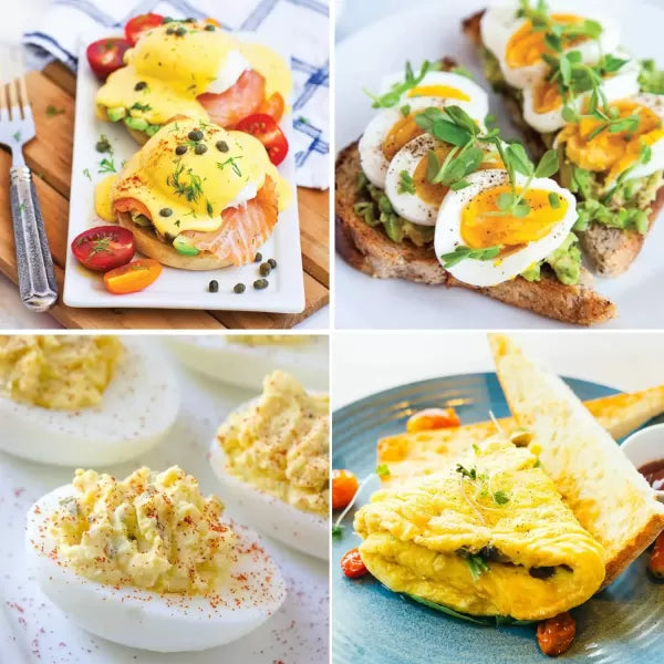7 Egg Capacity Electric Egg Cooker with Auto Shut-Off D842