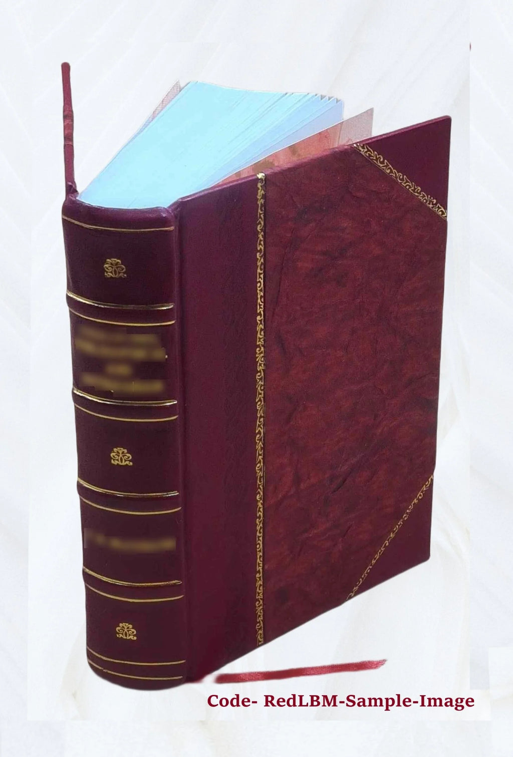v.2 Leather Bound C9520