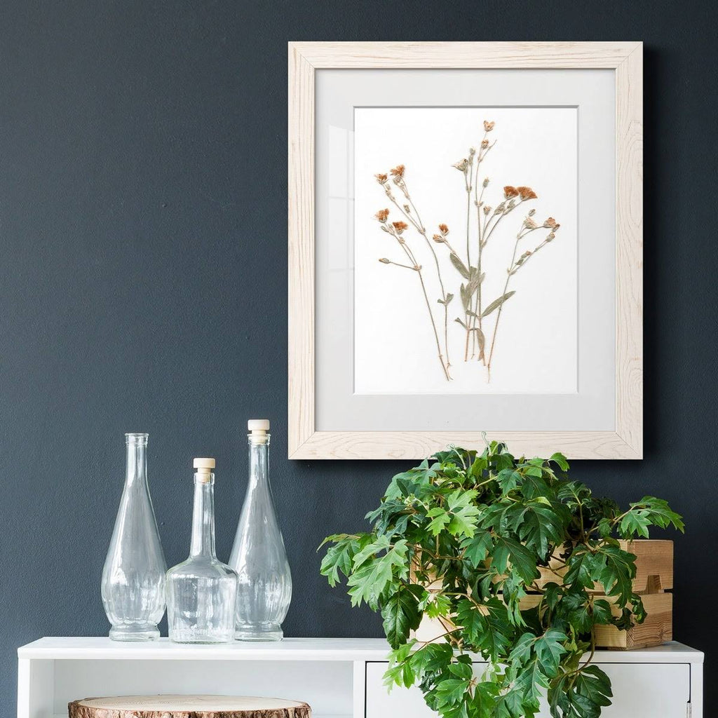 Framed Print O386