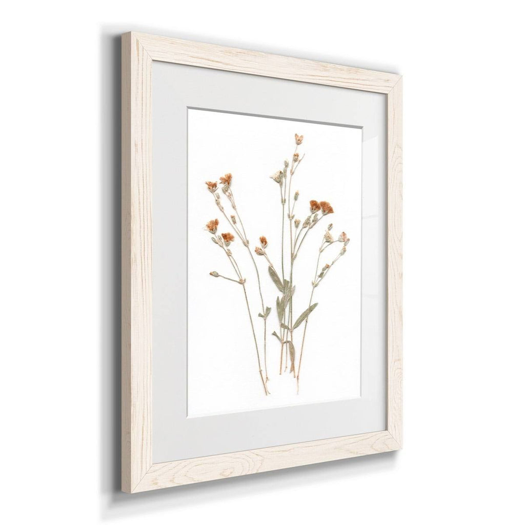 Framed Print O386
