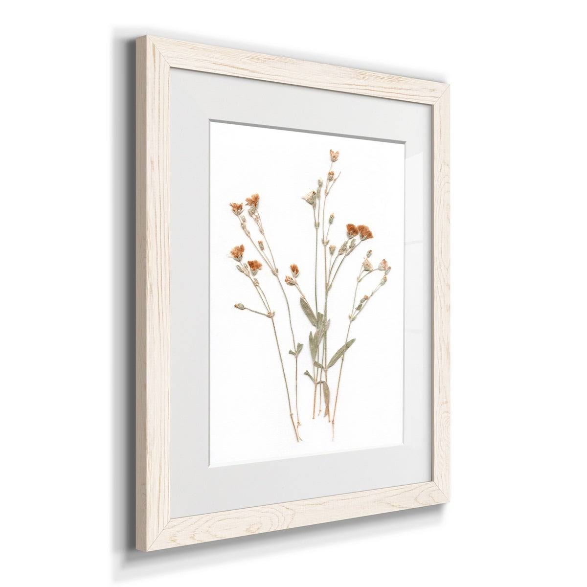 Framed Print O386