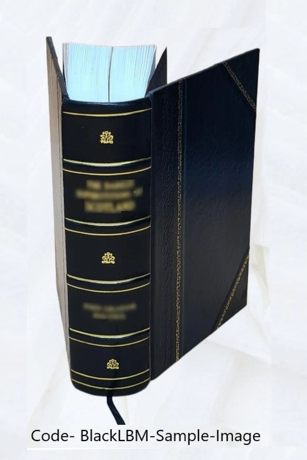 v.2 Leather Bound C9520
